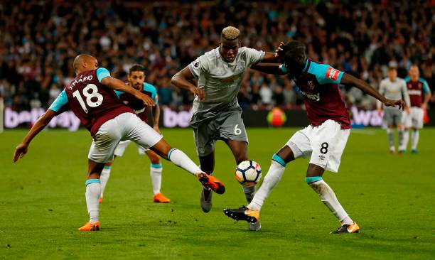 乒乓球仅看 乒乓球仅看